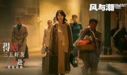 电视剧风,揭秘电视剧中的风云变幻